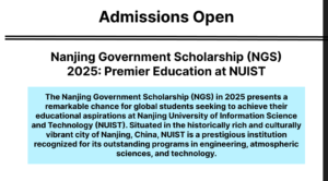 Nanjing Government Scholarship 2025