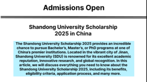Shandong University Scholarship 2025