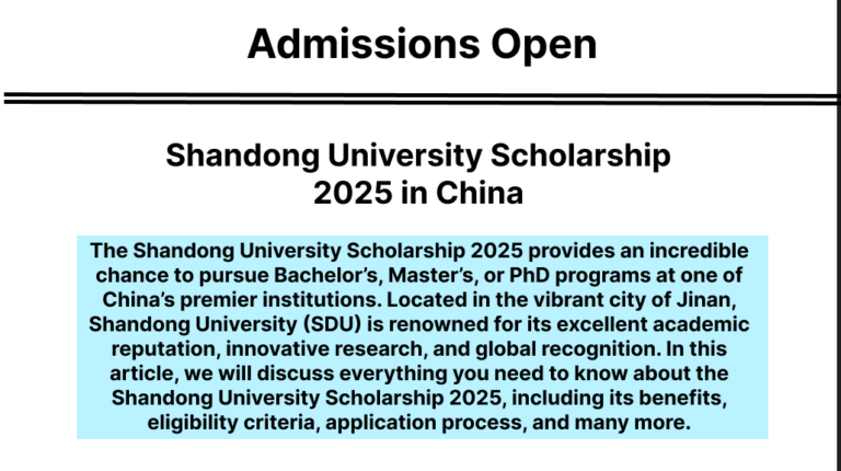 Shandong University Scholarship 2025