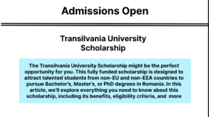 Transilvania University Scholarship
