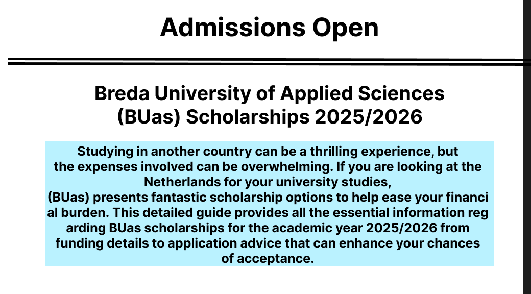 Breda University Scholarships 2025/2026